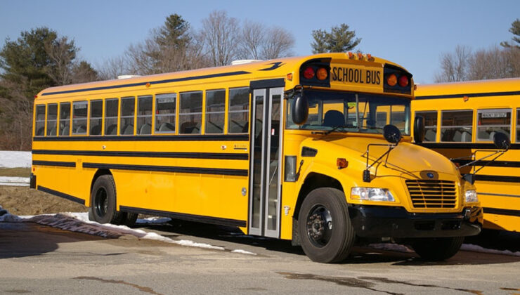 ABD’deki okul otobüslerinin sarı renkte olmasının sebebi buymuş