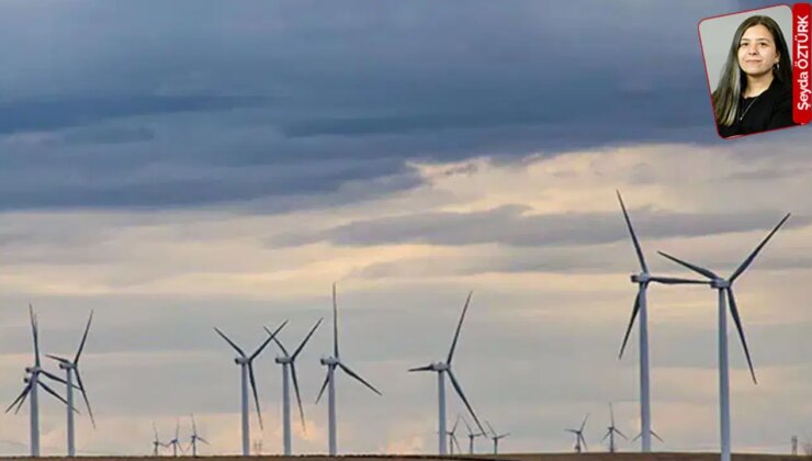 Akbelen Ormanı’ndaki katliamın ortağı, 1486 ağacı keseceği RES projesine onay aldı: Yeşili yok edecekler