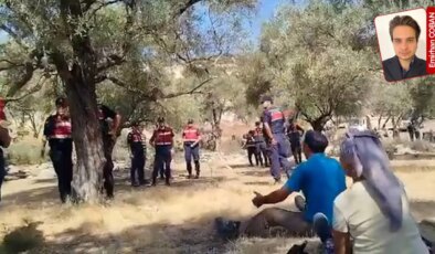 Akbelen’de zeytin ağaçları taşınıyor ama… ‘Eylül ayında ağaç taşınmaz’