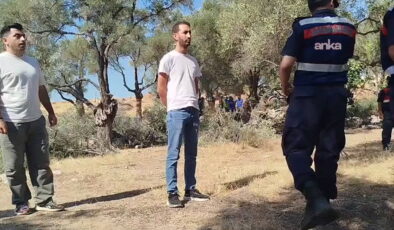 Akbelen’de zeytin kıyımı: Danıştay’dan acil yürütmeyi durdurma istendi!