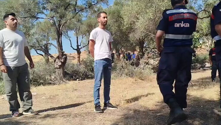 Akbelen’de zeytin kıyımı: Danıştay’dan acil yürütmeyi durdurma istendi!