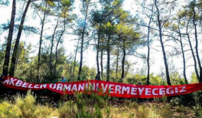 Akbelen’de zeytin kıyımının arkasından AKP’li isim çıktı: ‘Bu vahşetin altında imzası var’