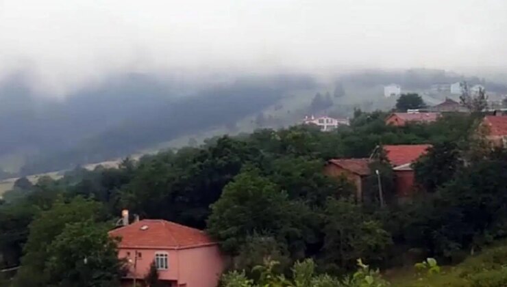 Alaçam’da altın madeni tepkisi: Doğa için tek yürek oldular