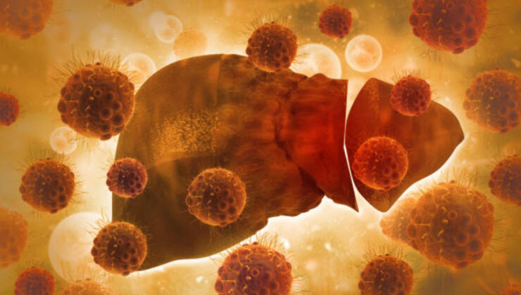 Alkol, kötü bakterilerin karaciğere saldırması için bağırsak kapılarını açıyor