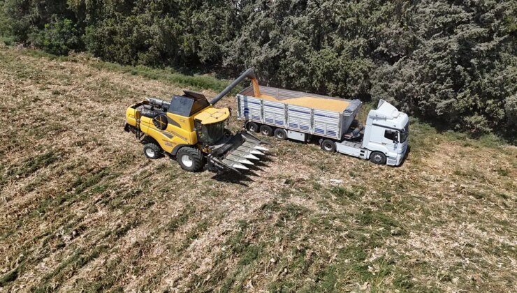 Amik Ovası’nda rekolte düştü: Son 65 yılının en kurak sezonunu…