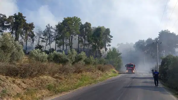 Antalya’da orman yangını!