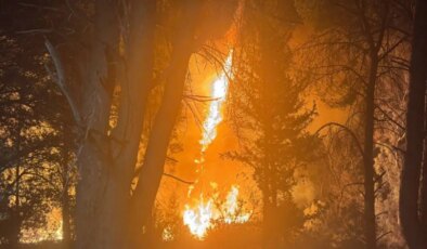 Antalya’da orman yangını