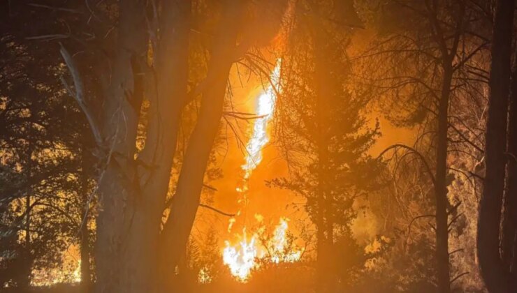 Antalya’da orman yangını