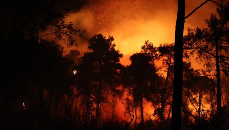 Antalya’nın Aksu ilçesinde orman yangını