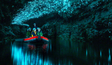 Ateş böceklerinin aydınlattığı konum: Waitomo Ateş Böceği Mağarası