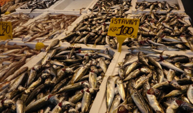 Av yasağının sona ermesiyle beraber Trabzon’da tezgahlar istavritle doldu