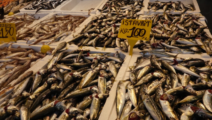 Av yasağının sona ermesiyle beraber Trabzon’da tezgahlar istavritle doldu
