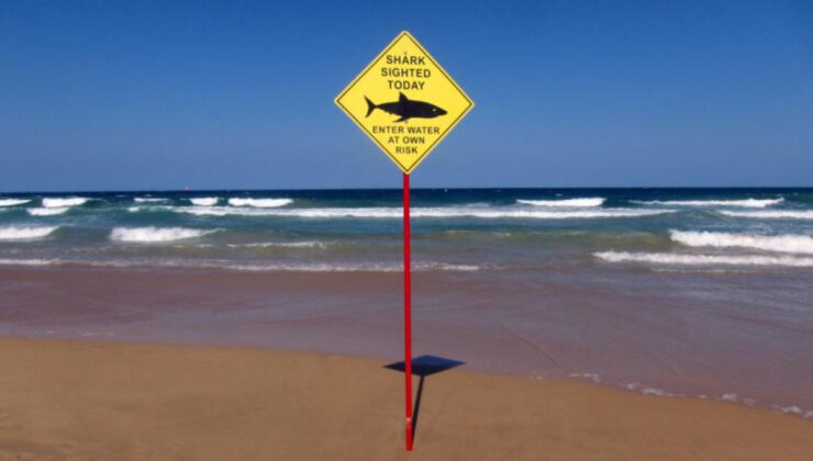 Avustralya’da 1 kişinin öldüğü köpek balığı saldırısı sonrası 2 plaj kapatıldı