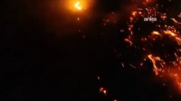 Aydın’da başlayıp Karabük’e sıçrayan orman yangını sürüyor