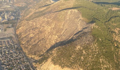 Aydın’da orman yangını… 17 saat sonra kontrol altına alındı!