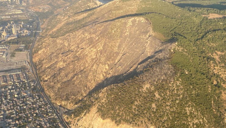 Aydın’da orman yangını… 17 saat sonra kontrol altına alındı!