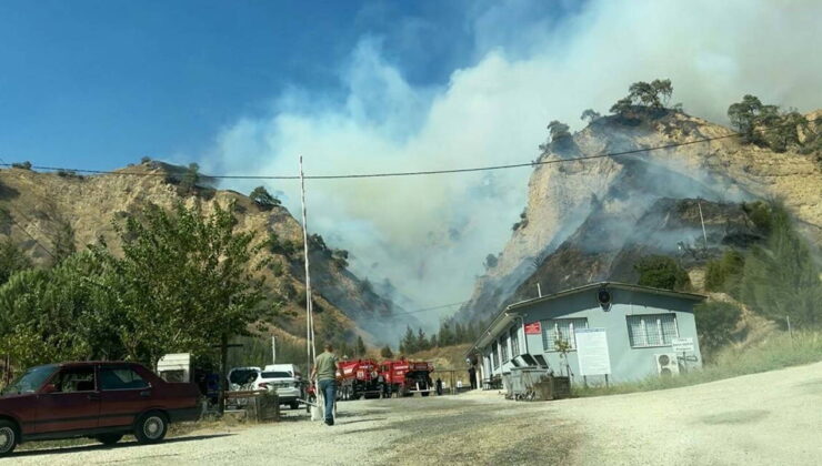 Aydın’da orman yangını!