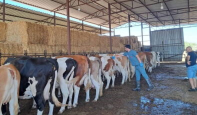 Aydın’ın o ilçesinde 14 mahalle karantinaya alındı