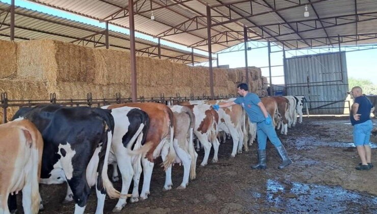 Aydın’ın o ilçesinde 14 mahalle karantinaya alındı