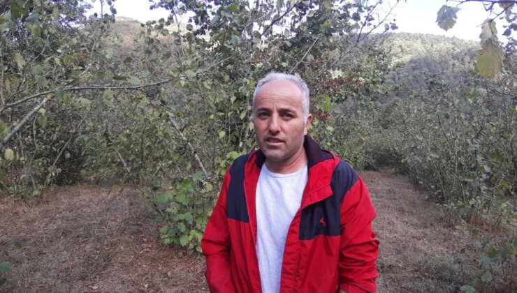 Ayının saldırısına uğrayan çiftçi dehşet anlarını anlattı: ‘Parmağımı kopardı’