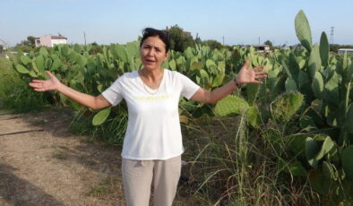Bahçeyi kurarken alay konusu oldular, şimdi mahsulün tamamını yurt dışına veriyorlar! Geleceğin meyvesi olacak…