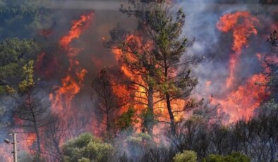 Bakan Yumaklı açıkladı: Orman yangınlarında son durum
