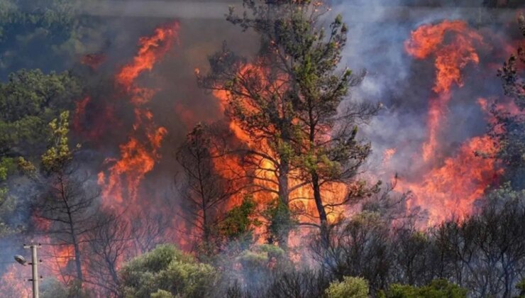 Bakan Yumaklı açıkladı: Orman yangınlarında son durum