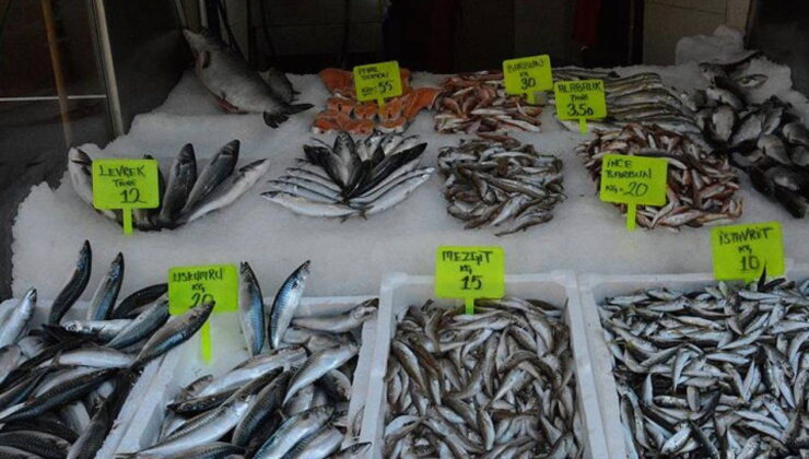 Balık severler için rehber: Eylül ayında hangi balıklar yenmeli?