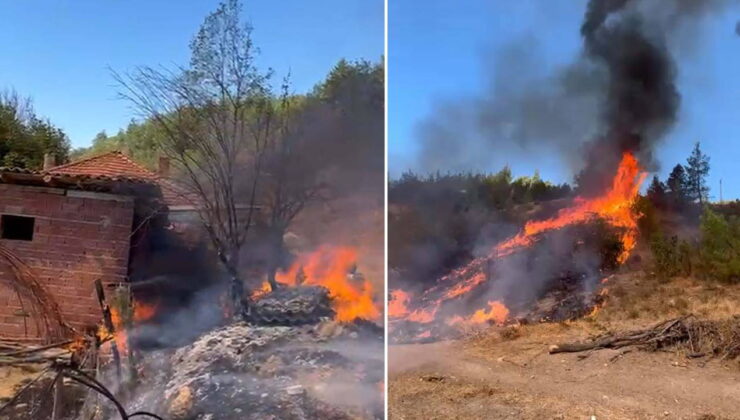Balıkesir’de orman yangını: 2 saatte kontrol altına alındı!
