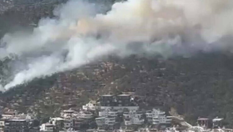 Balıkesir’de orman yangını