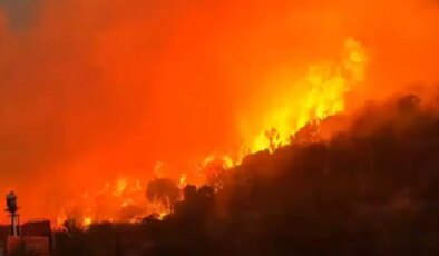 Balıkesir’de orman yangını: Müdahale ediliyor