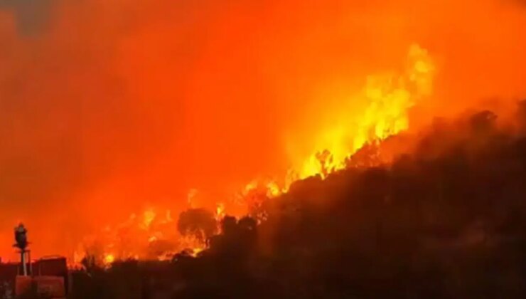 Balıkesir’de orman yangını: Müdahale ediliyor