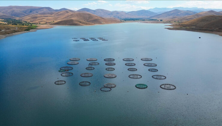 Bayburt’ta yetiştirilen Türk somonlarının Rusya’ya yolculuğu başladı