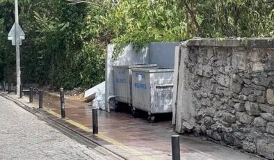 Beşiktaş’ta bebeğinin cesedini çöp konteynerine atan annenin ifadesi ortaya çıktı
