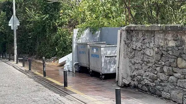 Beşiktaş’ta bebeğinin cesedini çöp konteynerine atan annenin ifadesi ortaya çıktı