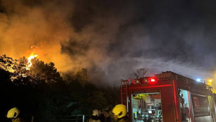 Beykoz’da orman yangını! Ekipler müdahale ediyor