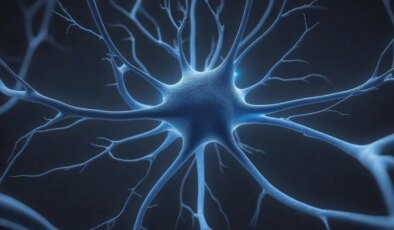 Beynin yaşlanmasında kritik rol oynayan bir protein bulundu