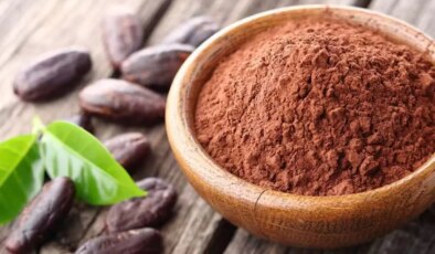 Bilim insanları açıkladı: Kakao flavanolleri damarları koruyor