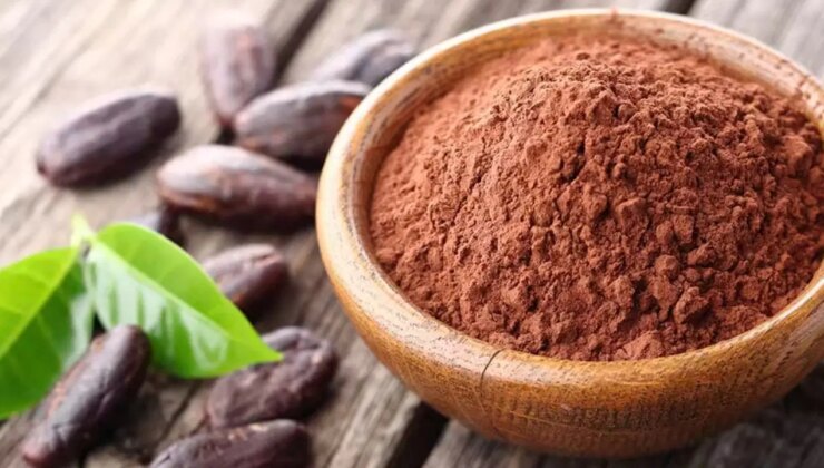 Bilim insanları açıkladı: Kakao flavanolleri damarları koruyor