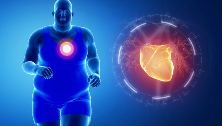 Bilim insanları kalp yetmezliğini yağ hücrelerinden salınan moleküllere bağlıyor