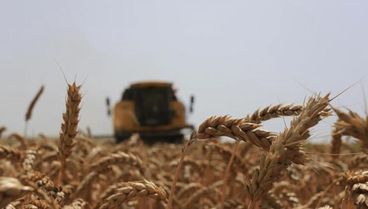 Bitkisel üretimde 2025-2027’de yapılacak yeni desteklemelerin detayları belli oldu