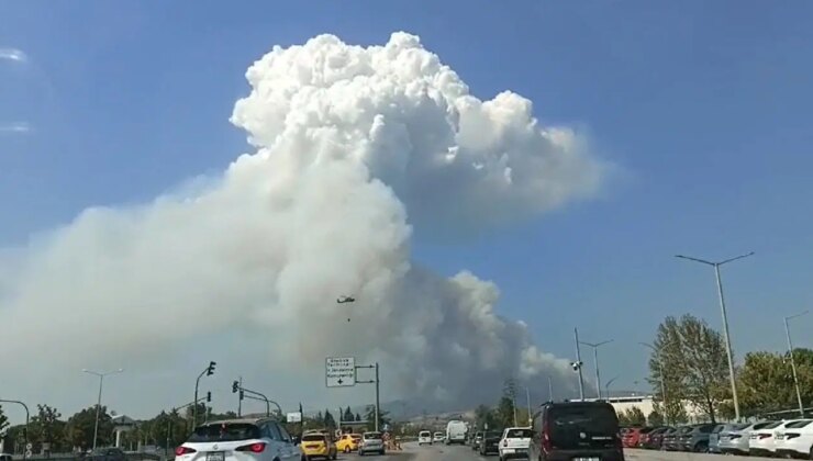 Bölge, yerleşim yerleri yakınında… Bursa’da orman yangını!