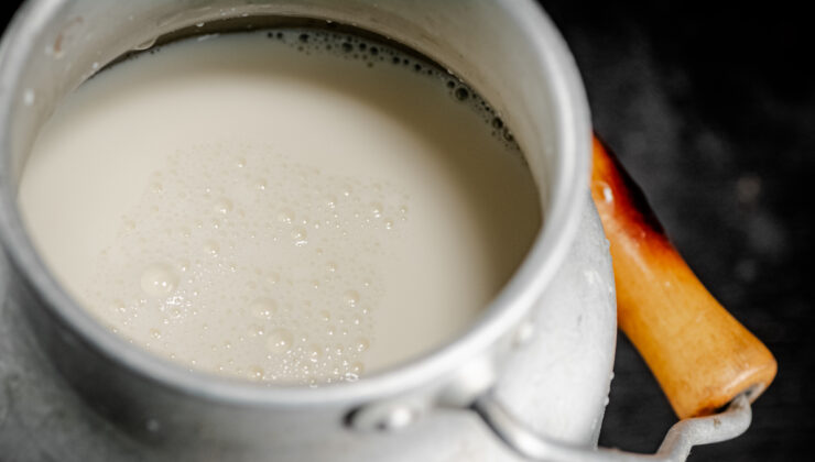 Bu süt bir başka: Deve sütünün mucizevi etkileri