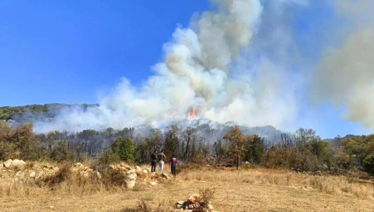 Burdur’da orman yangını