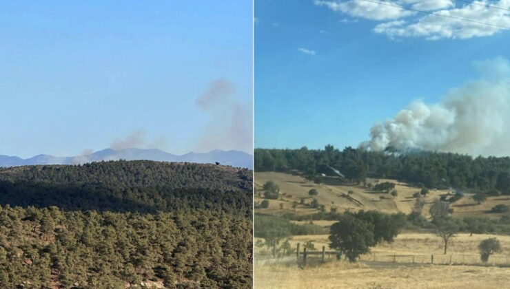 Çanakkale’de orman yangını!