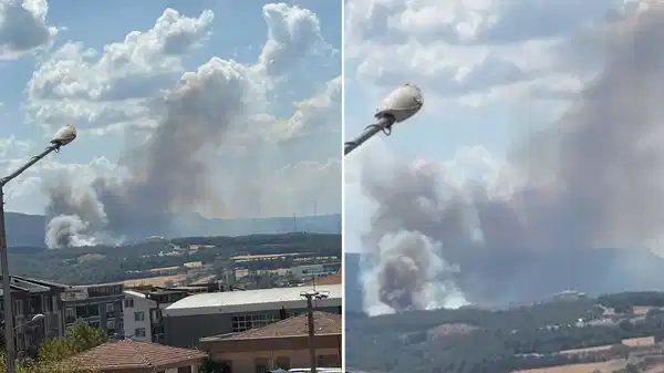 Çanakkale’de orman yangını