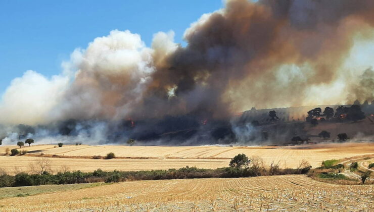 Çanakkale’de orman yangını: Havadan müdahale başladı