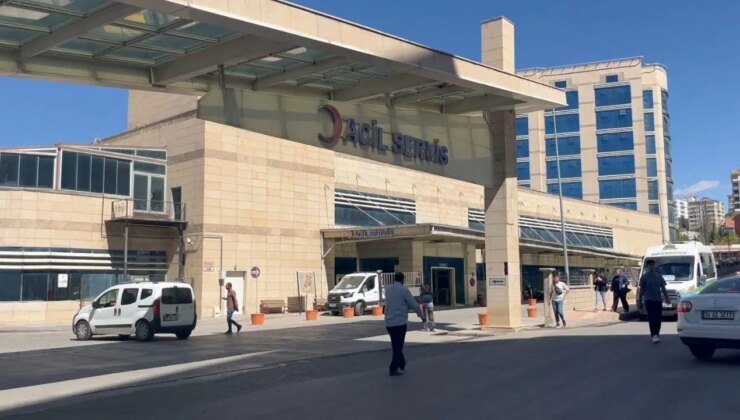 Ceviz toplarken ağaçtan düşüp öldü