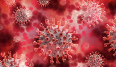 Chikungunya Virüsü nedir? Chikungunya Virüsü nasıl bulaşır, belirtileri nelerdir?