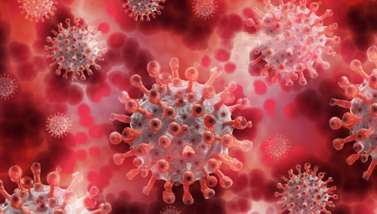 Chikungunya Virüsü nedir? Chikungunya Virüsü nasıl bulaşır, belirtileri nelerdir?